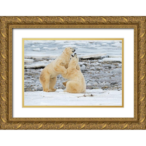 Big Boys Gold Ornate Wood Framed Art Print with Double Matting by Pozzi, Marco