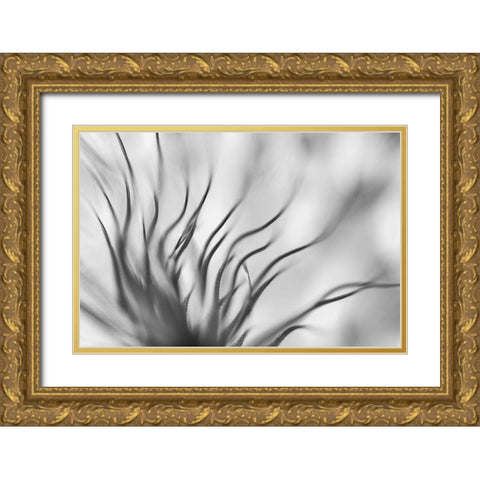 Untitled Gold Ornate Wood Framed Art Print with Double Matting by Or, Keren