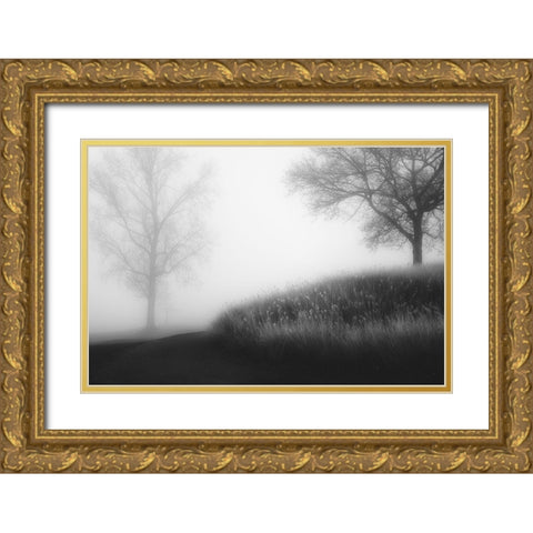 Foggy Morning Gold Ornate Wood Framed Art Print with Double Matting by Huybrighs, Marc