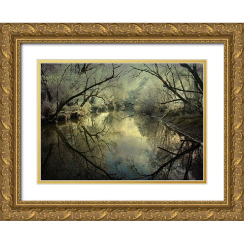 Frosty Silence Gold Ornate Wood Framed Art Print with Double Matting by Ri, P