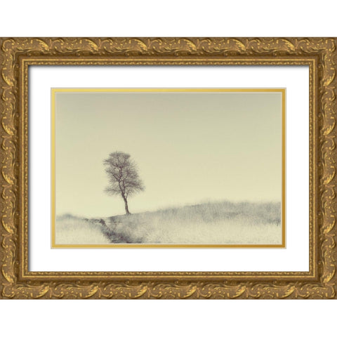 Tree On Top Gold Ornate Wood Framed Art Print with Double Matting by Van Den, Jaap