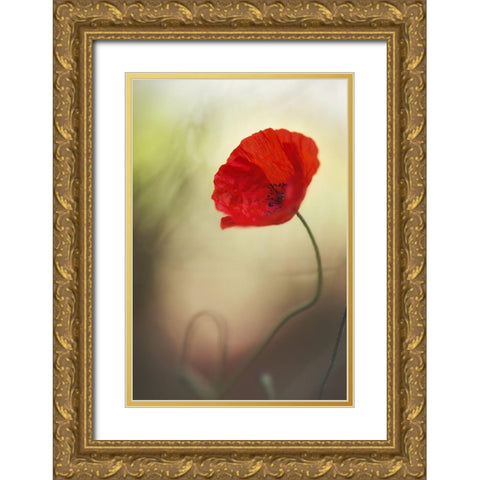 Untitled Gold Ornate Wood Framed Art Print with Double Matting by Or, Keren