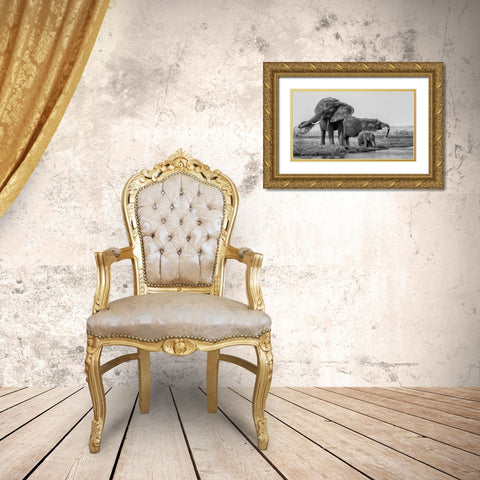 The Family Of Elephants Gold Ornate Wood Framed Art Print with Double Matting by Chang, Phillip