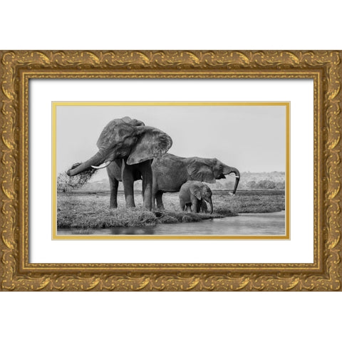 The Family Of Elephants Gold Ornate Wood Framed Art Print with Double Matting by Chang, Phillip