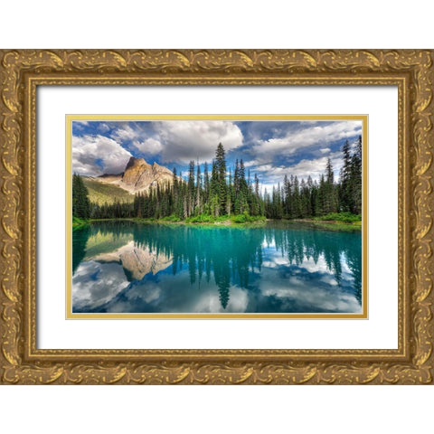 Emerald ... Gold Ornate Wood Framed Art Print with Double Matting by Dujic Lighthunter, Zoran