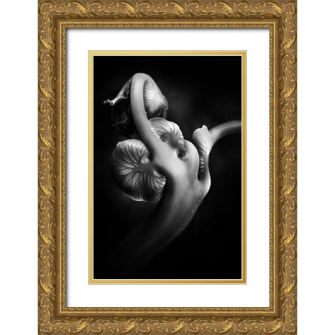 ..... Abw048 ..... Gold Ornate Wood Framed Art Print with Double Matting by Januar, Johanes