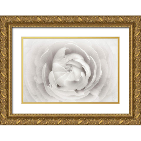 Ranunculus Gold Ornate Wood Framed Art Print with Double Matting by Gronkjar, Lotte