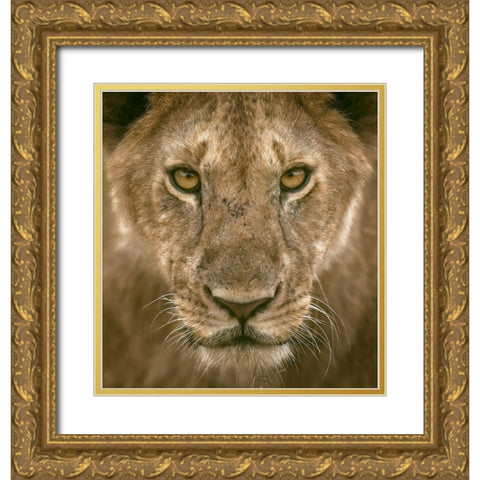 Contact Eyes Gold Ornate Wood Framed Art Print with Double Matting by Alnomas, Faisal