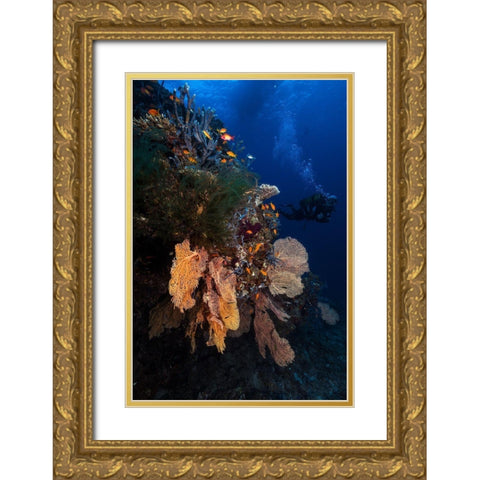 Diving Gold Ornate Wood Framed Art Print with Double Matting by Gabriel, Barathieu