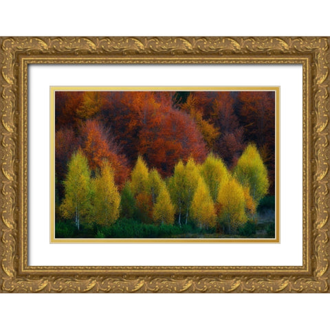 Nimbrethil Gold Ornate Wood Framed Art Print with Double Matting by Zsolt Andras, Szabo