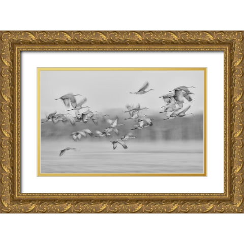 Dream Flight Gold Ornate Wood Framed Art Print with Double Matting by Wang, Kevin