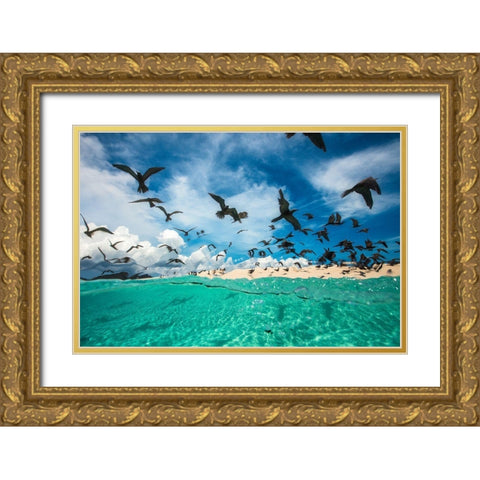 Ocean Bird Gold Ornate Wood Framed Art Print with Double Matting by Gabriel, Barathieu