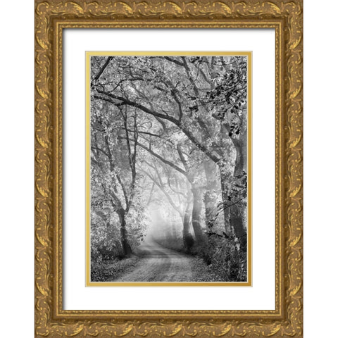Tuscan Dream Alley Gold Ornate Wood Framed Art Print with Double Matting by Kreiten, Mike