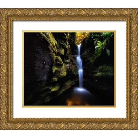 Secret Falls Gold Ornate Wood Framed Art Print with Double Matting by Shi, Fei