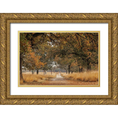 Lane Gold Ornate Wood Framed Art Print with Double Matting by Van Den, Jaap