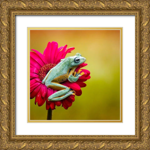 Pretty Frog Gold Ornate Wood Framed Art Print with Double Matting by Maududdin, Fauzan