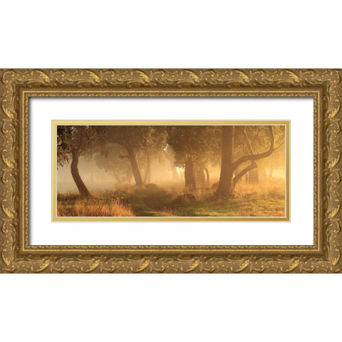 Morning Mist Gold Ornate Wood Framed Art Print with Double Matting by Smith, Garth