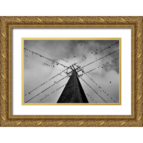 Wired Gold Ornate Wood Framed Art Print with Double Matting by Caria, Rui