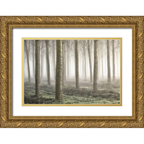 Small Woodland Gold Ornate Wood Framed Art Print with Double Matting by Carozzi, Fiorenzo