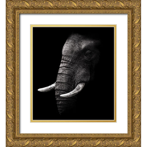 Portrait Gold Ornate Wood Framed Art Print with Double Matting by Wildphotoart