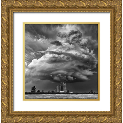Monochrome Mesocyclone Gold Ornate Wood Framed Art Print with Double Matting by Darby, Rob