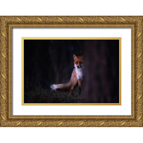 Glances Gold Ornate Wood Framed Art Print with Double Matting by Mastahac, Sebastian