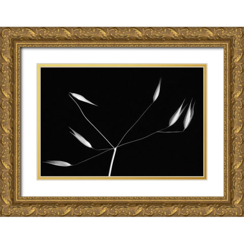 Light And Simplicity Gold Ornate Wood Framed Art Print with Double Matting by Azevedo, Olavo