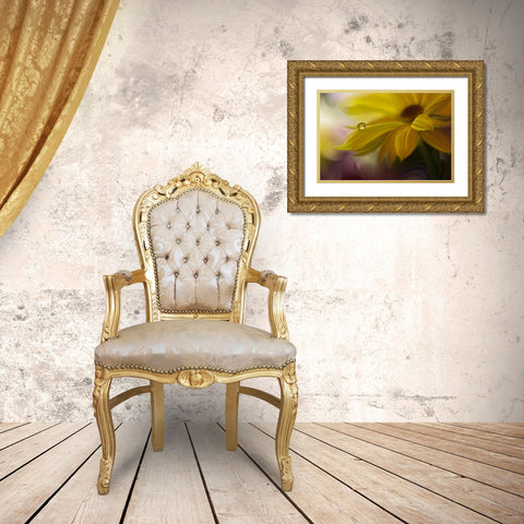 Sunbeam... Gold Ornate Wood Framed Art Print with Double Matting by Nan, Juliana