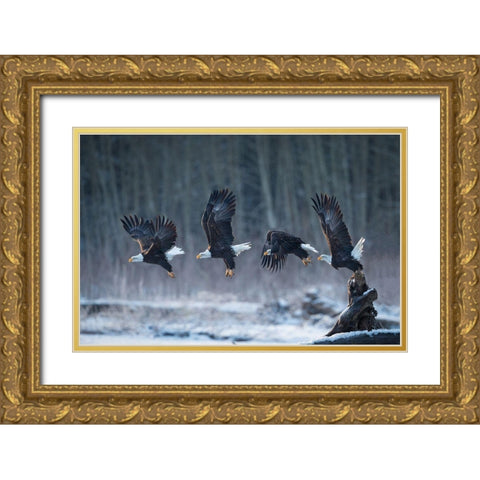 Ready-Go! Gold Ornate Wood Framed Art Print with Double Matting by Uota, Katsu