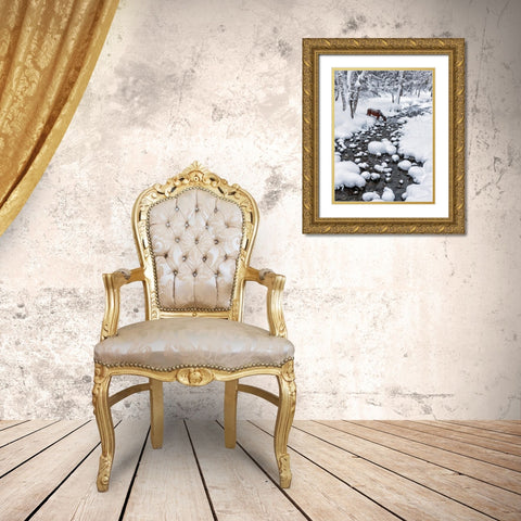 Drinking In Snow Gold Ornate Wood Framed Art Print with Double Matting by Zhu, Hua