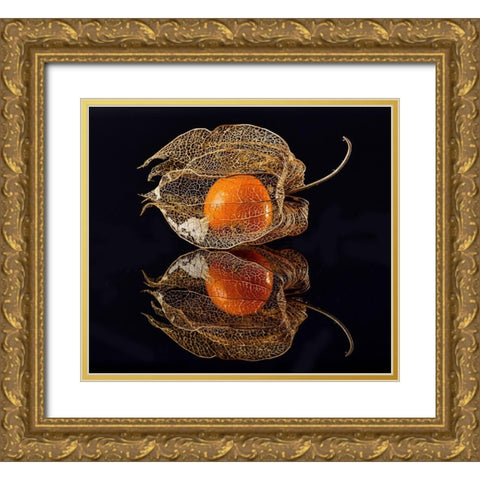 Physalis Gold Ornate Wood Framed Art Print with Double Matting by Grosshanten, Klaus