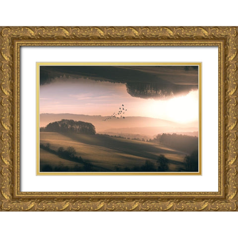 Interplanar Gold Ornate Wood Framed Art Print with Double Matting by Hennen, Marcus