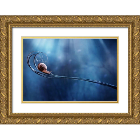 Beautifull Snail Gold Ornate Wood Framed Art Print with Double Matting by Almustaqim, Dede