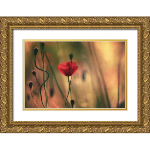 Untitled Gold Ornate Wood Framed Art Print with Double Matting by Or, Keren