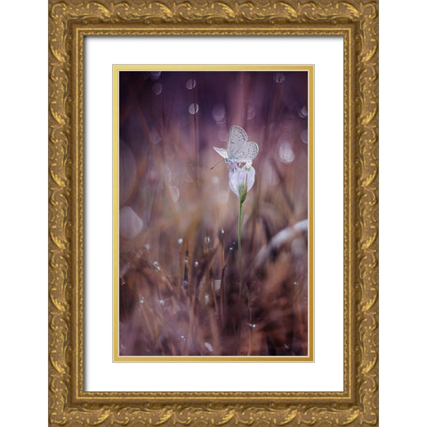 Waiting Gold Ornate Wood Framed Art Print with Double Matting by Baihaki, Ahmad