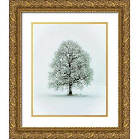 Nimloth Gold Ornate Wood Framed Art Print with Double Matting by Hieke, Heinz