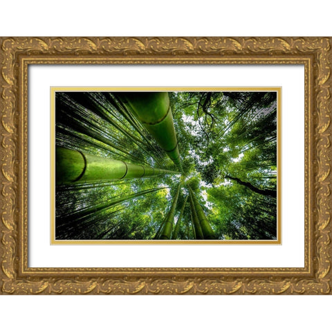 Arashiyama Gold Ornate Wood Framed Art Print with Double Matting by Ros, David