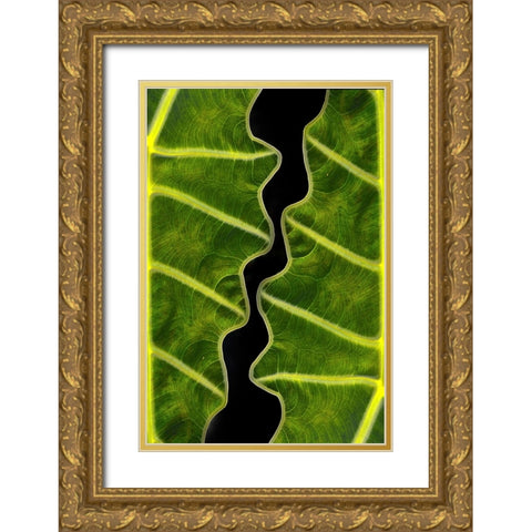 Balance Gold Ornate Wood Framed Art Print with Double Matting by Memensaputra