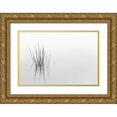 Reflections Gold Ornate Wood Framed Art Print with Double Matting by Azevedo, Olavo