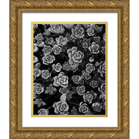 Tuc 1 Gold Ornate Wood Framed Art Print with Double Matting by Sousa Dias, Nana