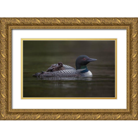 Along For The Ride Gold Ornate Wood Framed Art Print with Double Matting by Barsh, Greg
