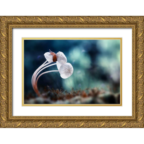 Snail And Mushrooms Gold Ornate Wood Framed Art Print with Double Matting by Almustaqim, Dede