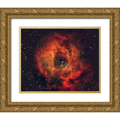 The Rose In The Sky Gold Ornate Wood Framed Art Print with Double Matting by Auf Dem, Andrea
