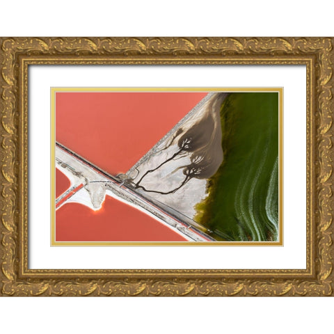 Natures Painting Gold Ornate Wood Framed Art Print with Double Matting by Macua, Gerald