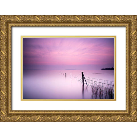 Milky Pink Gold Ornate Wood Framed Art Print with Double Matting by O Mahony, Kieran