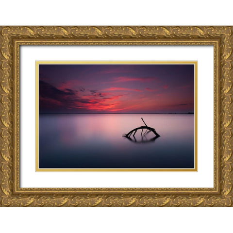 Colors Of Evening Gold Ornate Wood Framed Art Print with Double Matting by Olech, Michal