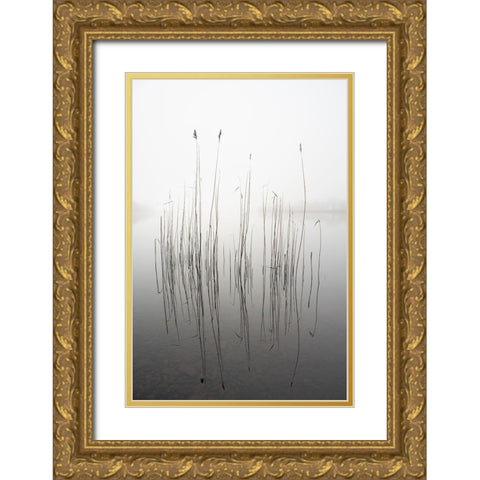 Silence Gold Ornate Wood Framed Art Print with Double Matting by Ahern, David