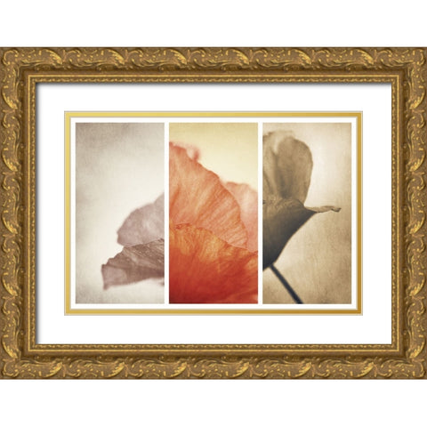 Fading Memories Gold Ornate Wood Framed Art Print with Double Matting by Davidsson, Gustav