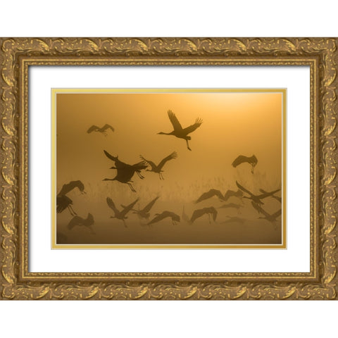 Sunrise With Cranes Gold Ornate Wood Framed Art Print with Double Matting by Rosenblatt, Ronen