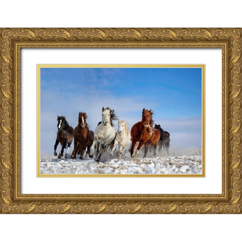 Mongolia Horses Gold Ornate Wood Framed Art Print with Double Matting by Zhang, Libby